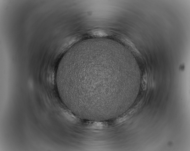 X0000100220330200806131320