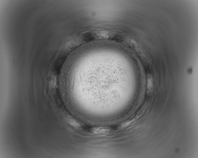 X0000100220331200806131320