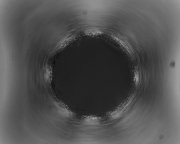 X0000100220332200806131320