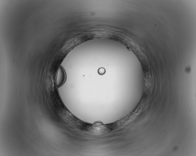 X0000100220333200806131320