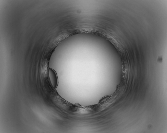 X0000100220334200806131320