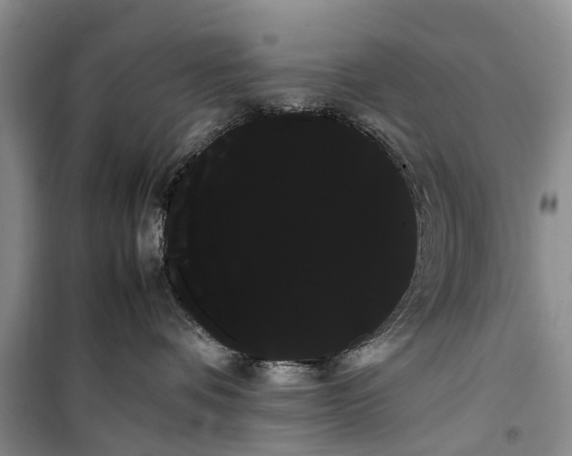 X0000100220336200806131320