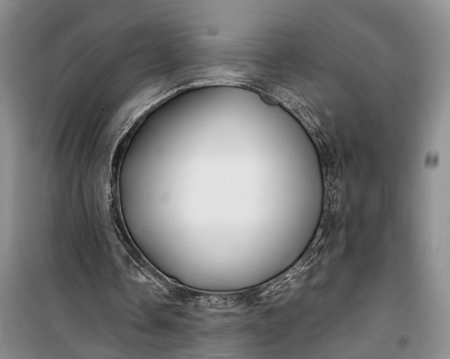 X0000100220338200806131319