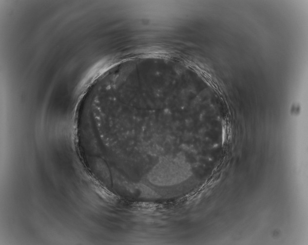 X0000100220339200806131319