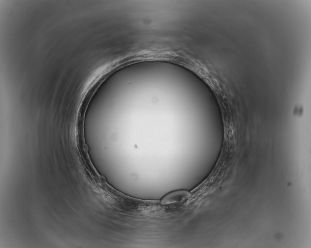 X0000100220340200806131319