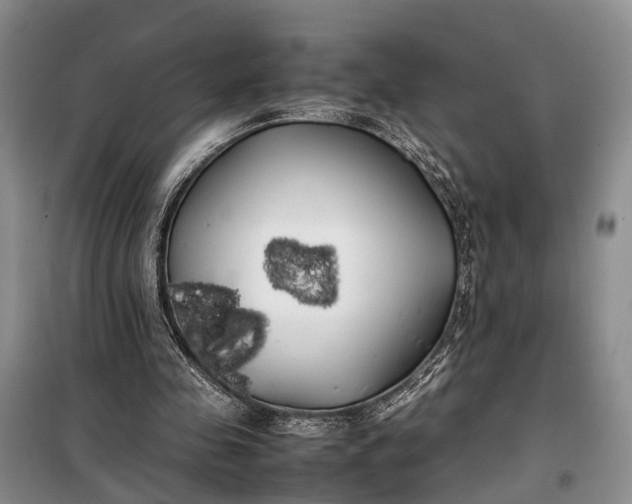 X0000100220341200806131319