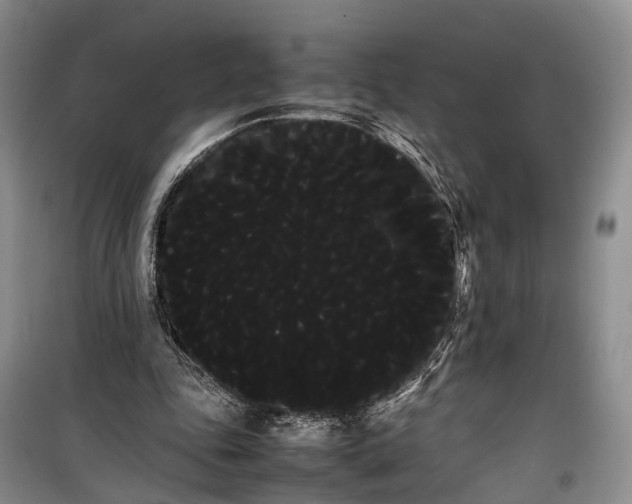 X0000100220343200806131319