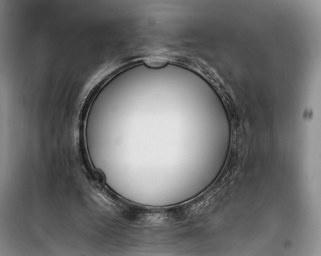 X0000100220344200806131319