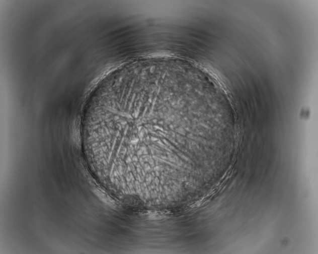 X0000100220345200806131319