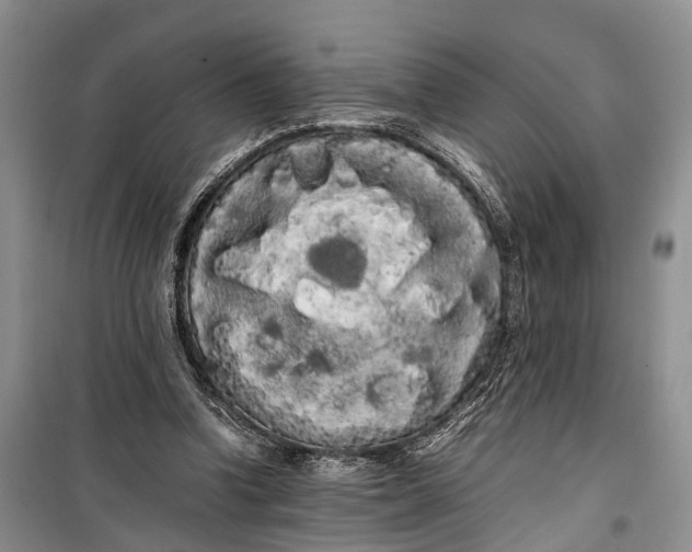 X0000100220346200806131319