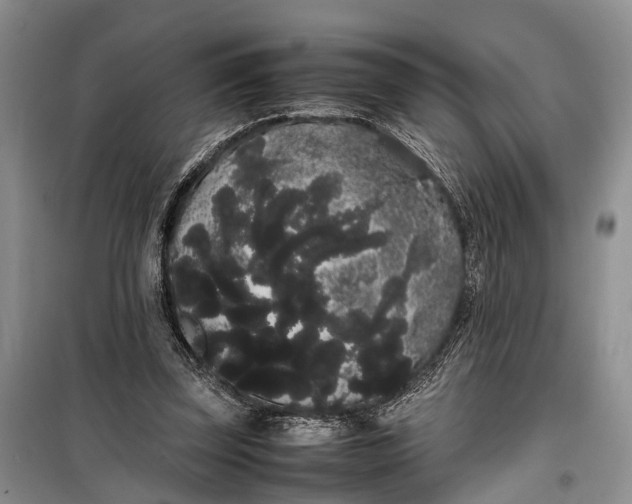 X0000100220347200806131319