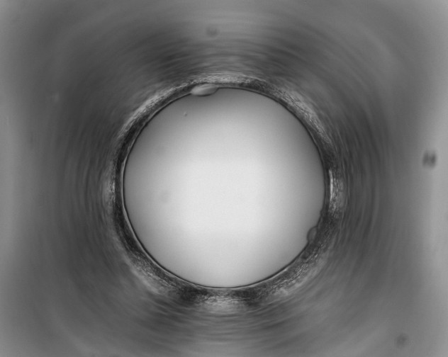 X0000100220348200806131319