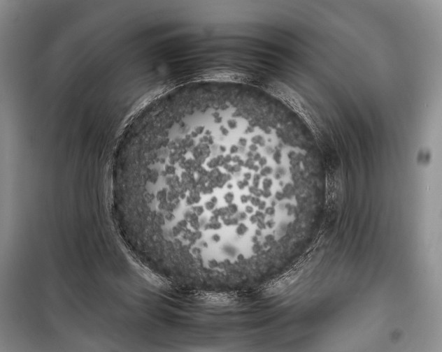 X0000100220349200806131319