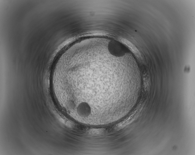 X0000100220350200806131319