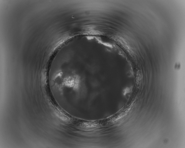 X0000100220351200806131319