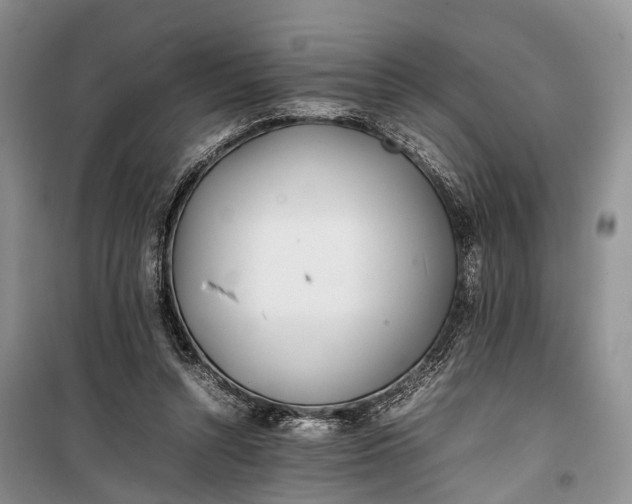 X0000100220352200806131319