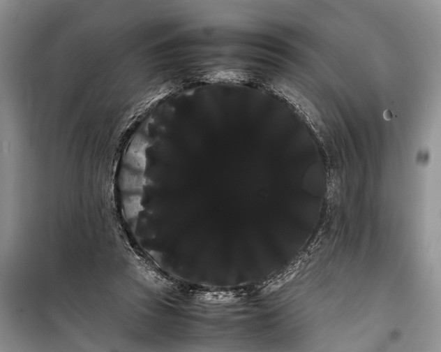 X0000100220353200806131319