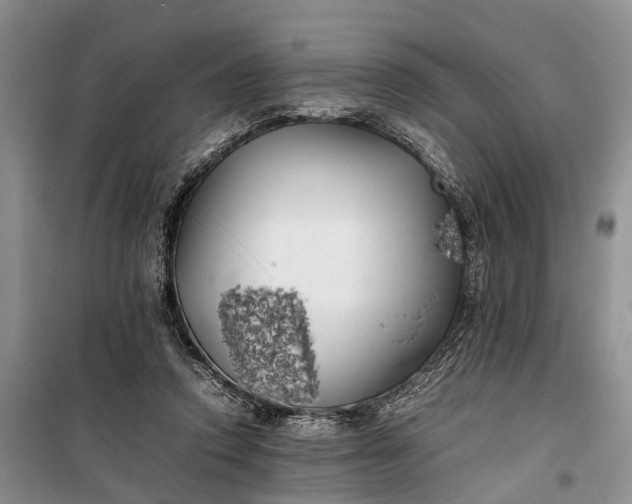 X0000100220354200806131319