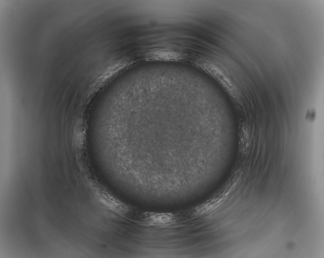 X0000100220355200806131319