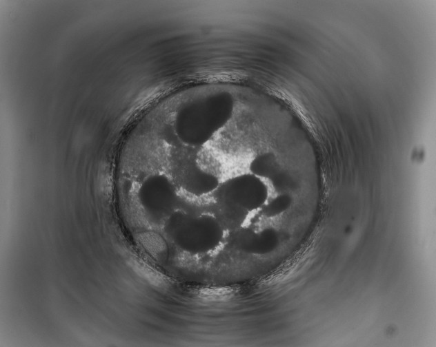 X0000100220357200806131319