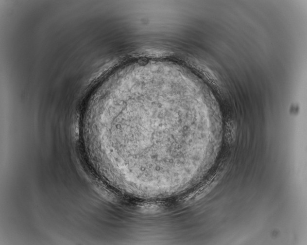 X0000100220358200806131319