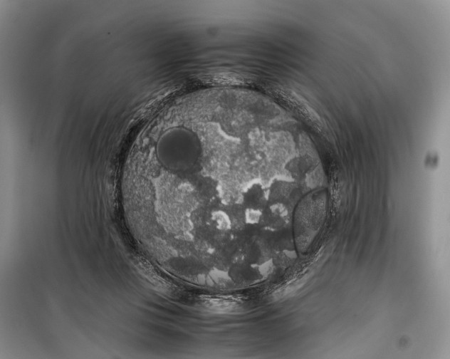 X0000100220359200806131319