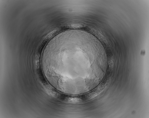 X0000100220360200806131319