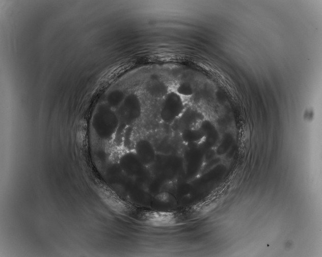 X0000100220361200806131319