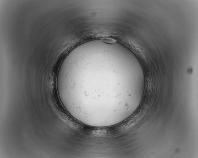 X0000100220362200806131319