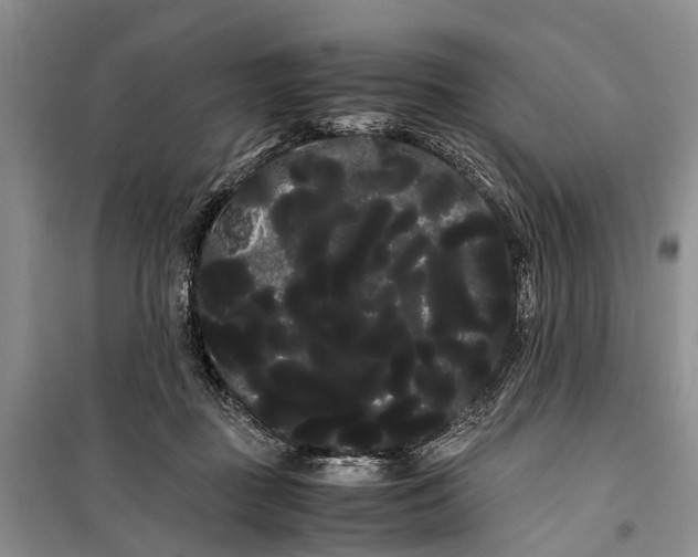 X0000100220363200806131319