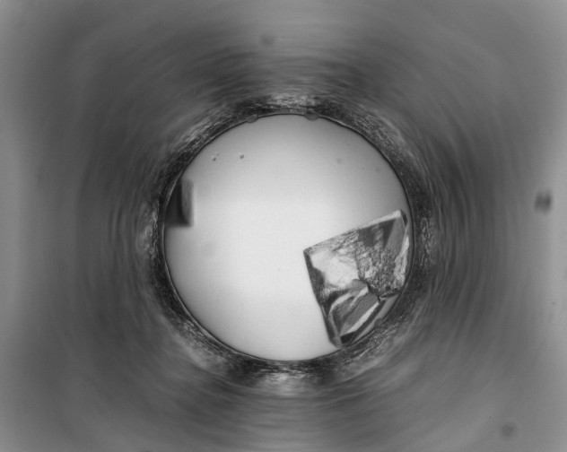 X0000100220364200806131319