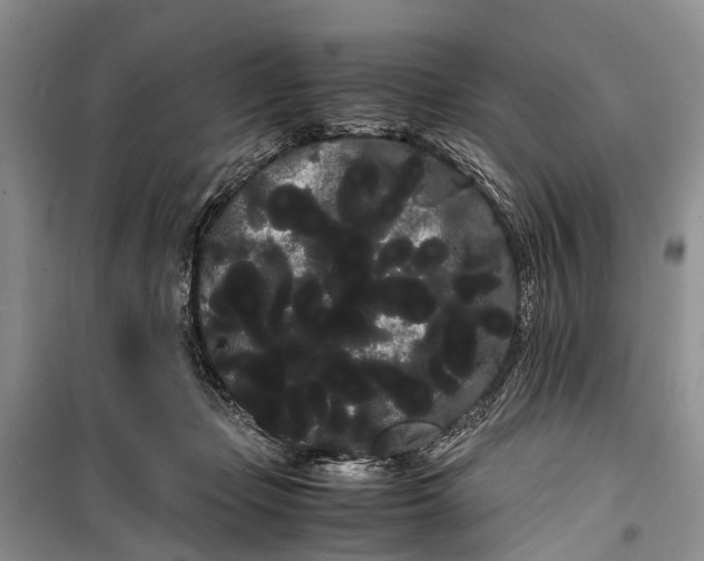 X0000100220365200806131319