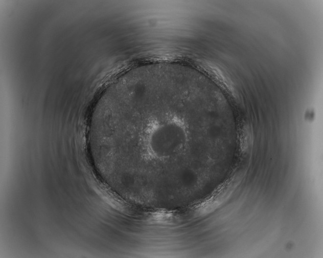 X0000100220366200806131319