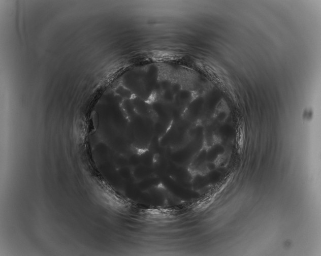 X0000100220367200806131319