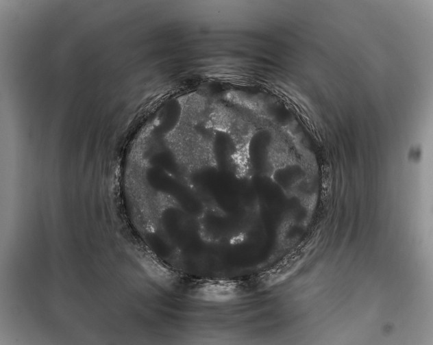 X0000100220369200806131319