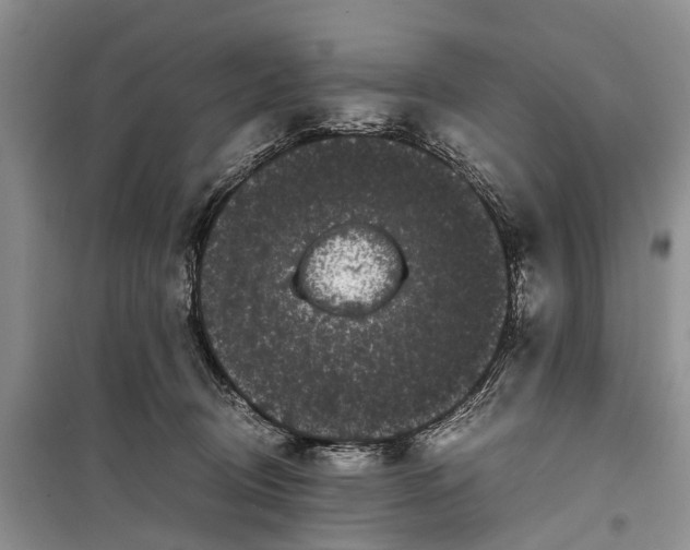 X0000100220370200806131319