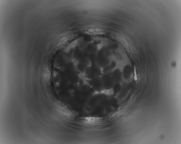 X0000100220371200806131319