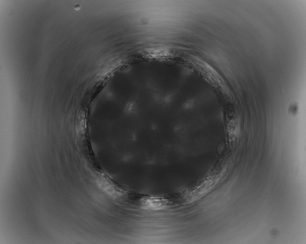 X0000100220372200806131319