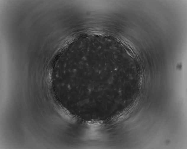 X0000100220373200806131319