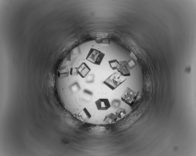 X0000100220374200806131319