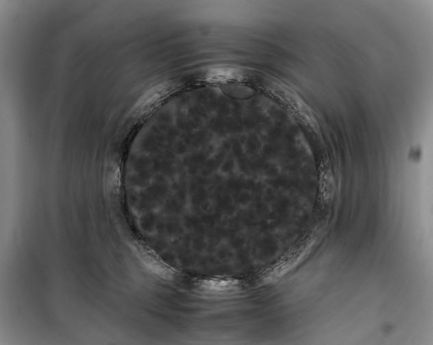 X0000100220375200806131319