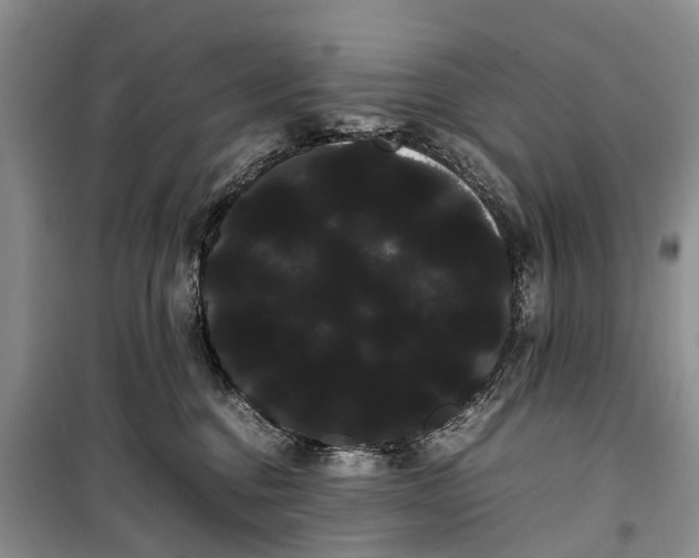 X0000100220376200806131319