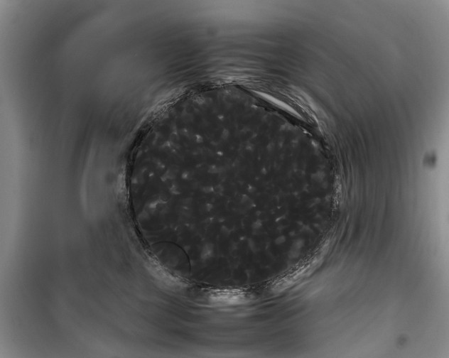 X0000100220377200806131320