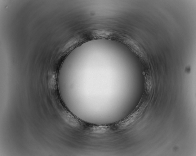 X0000100220378200806131320