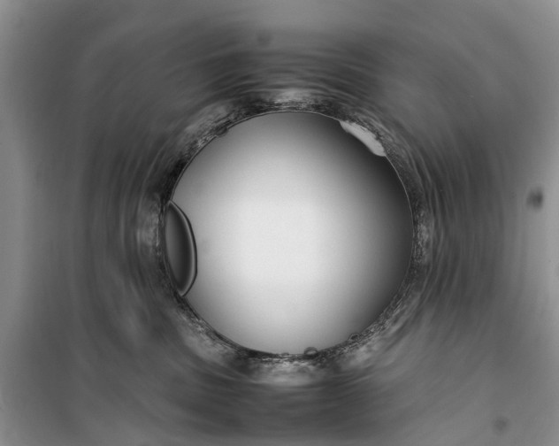 X0000100220379200806131320