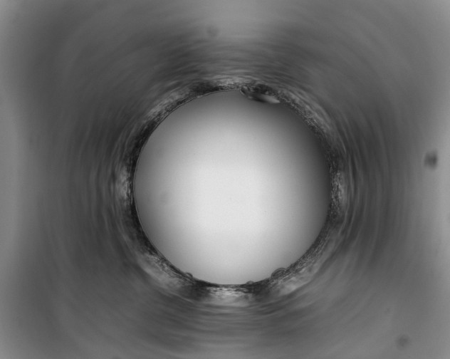 X0000100220380200806131320