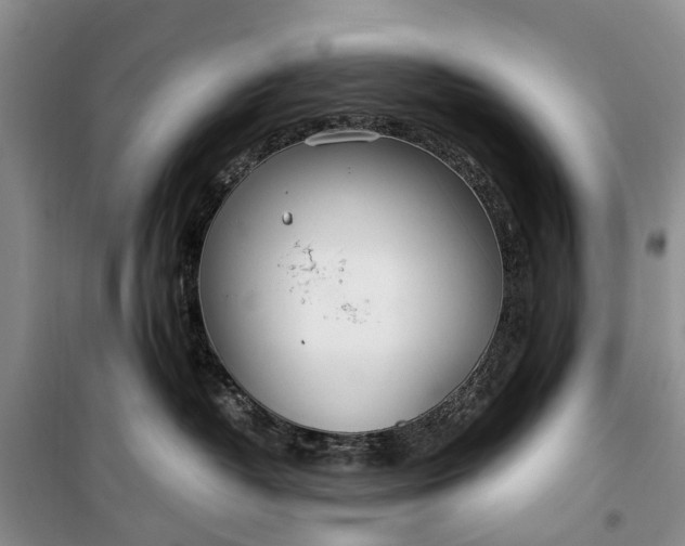 X0000100220382200806131320