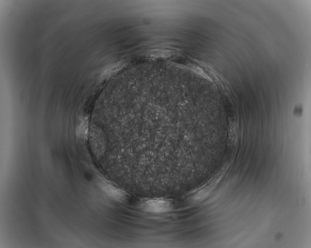 X0000100220383200806131320