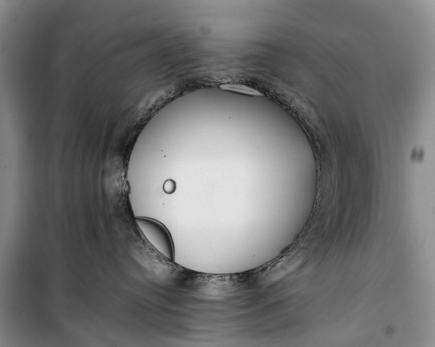 X0000100220384200806131320