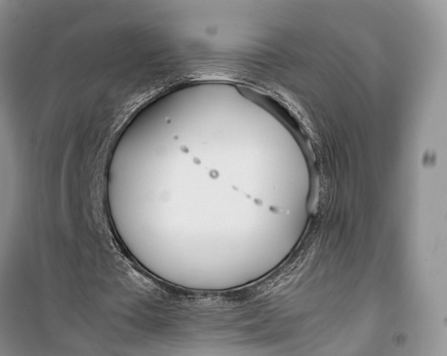 X0000100220385200806131319